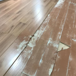 Parquet Flottant : Une Installation Facile et Rapide pour un Résultat Élégant Vire